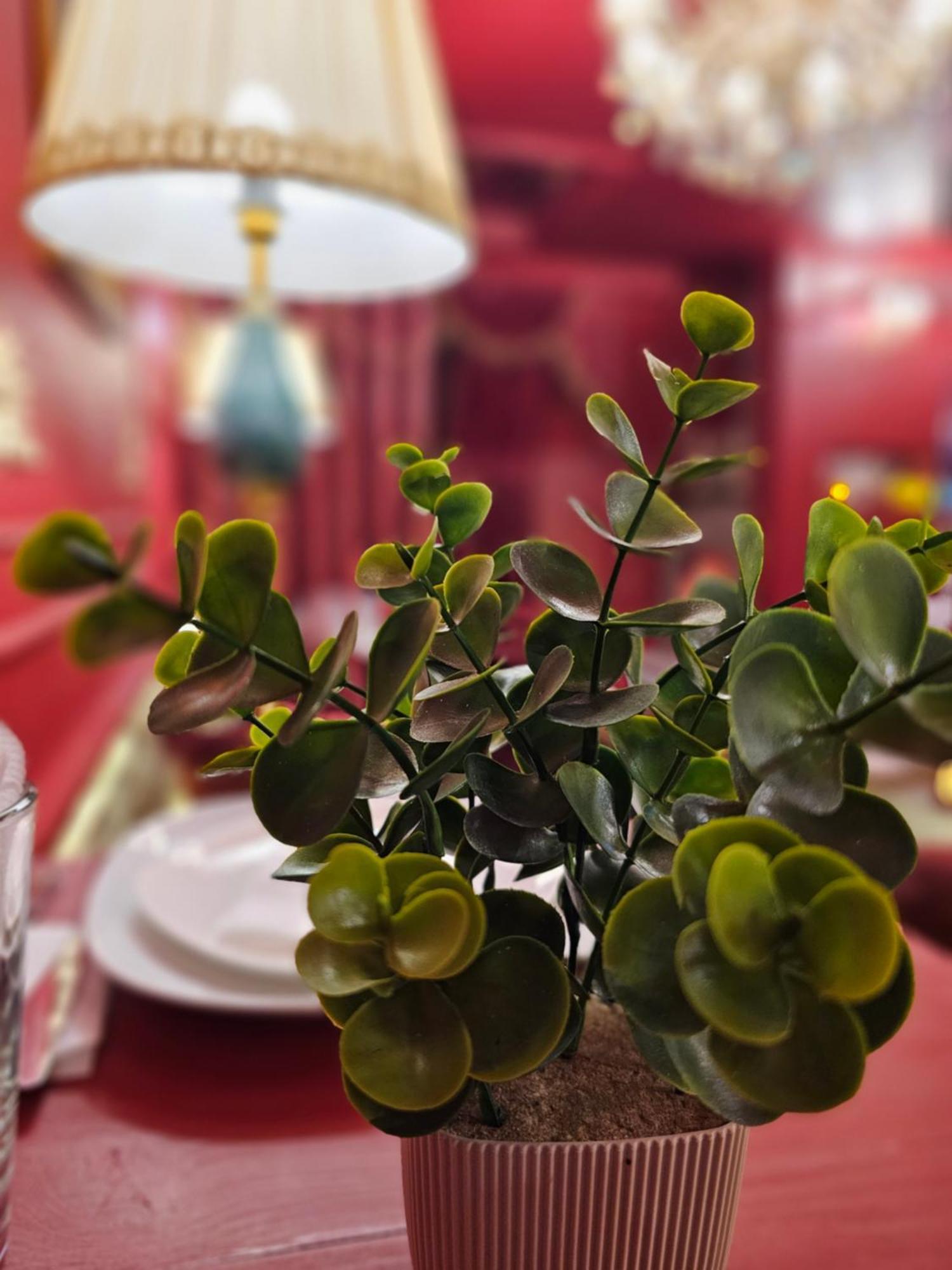 My Music Hotel Baku Ngoại thất bức ảnh